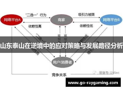 山东泰山在逆境中的应对策略与发展路径分析